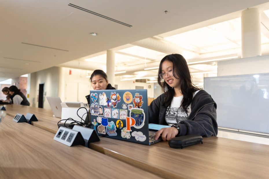 Students work on their laptops in the library.