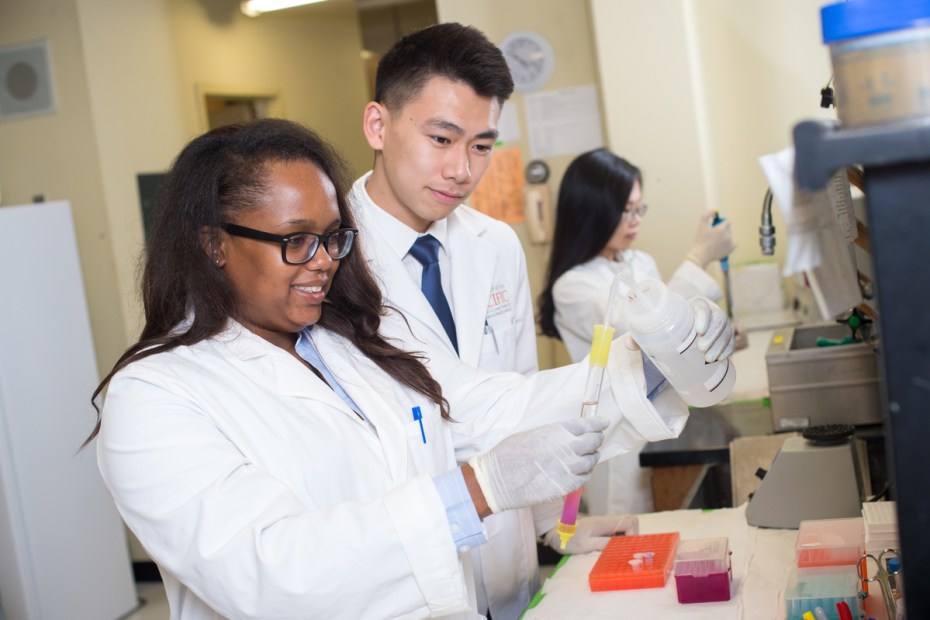 Students in lab coats working in a pharmacy lab.